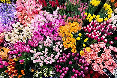 传闻：《黑暗之魂3复刻版》制作中、《血源》无望